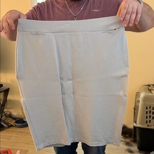 Ashley Stewart Light Gray Stretch Pencil Skirt